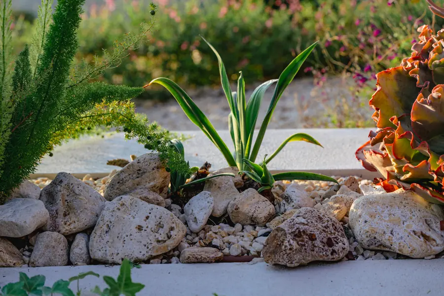 Jardín con piedras decorativas y plantas resistentes al clima seco en primer plano, con un fondo de vegetación y flores de colores vivos.